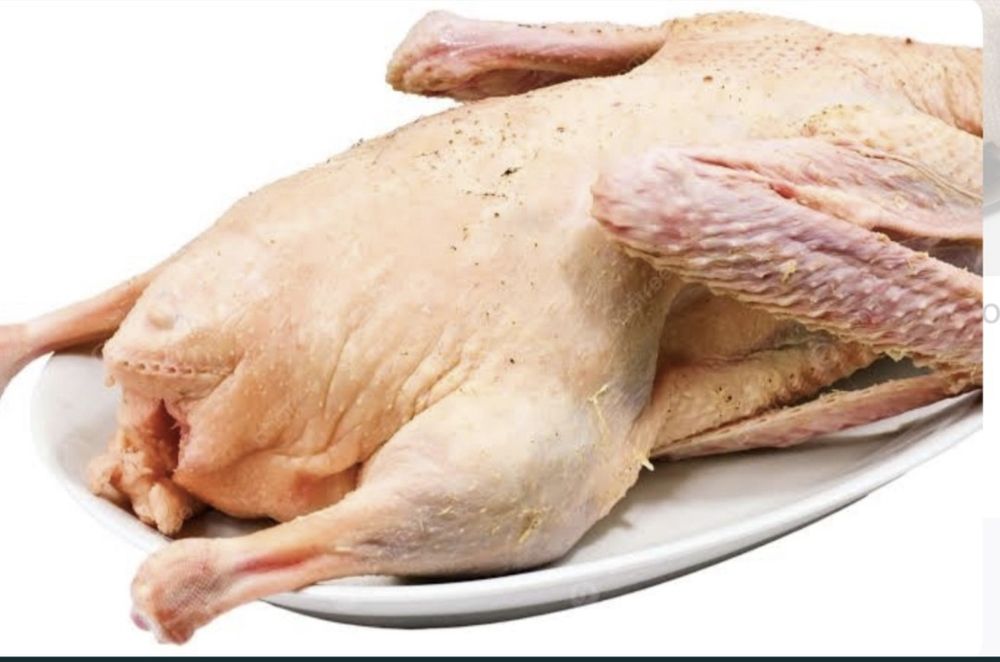 Продаются утки Чили Вили