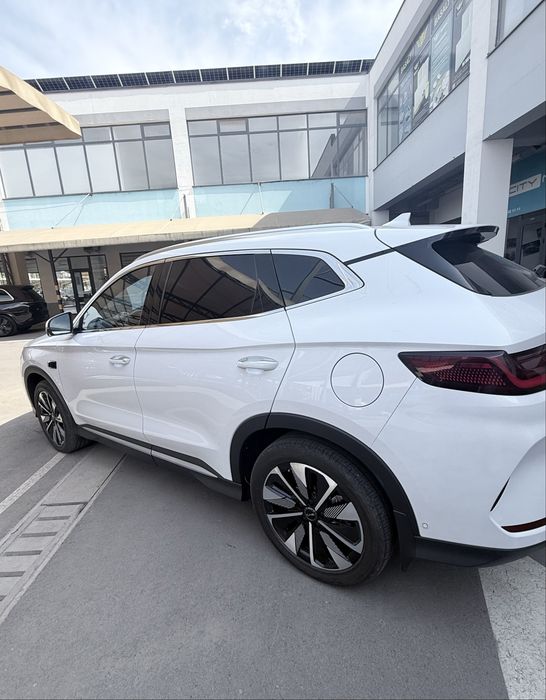 Byd champion Smart
