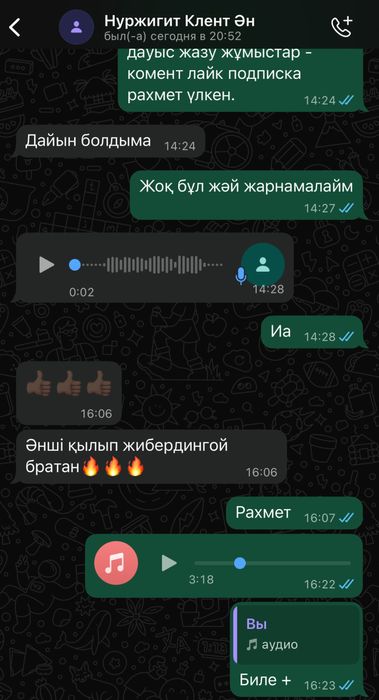 Звукозапись Дауыс жазу