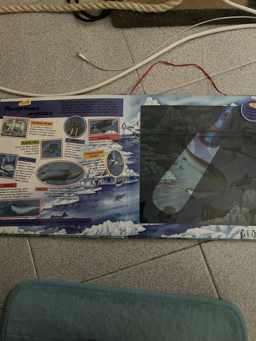 Детски книжки с картинки