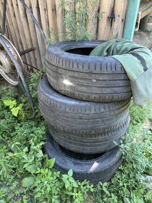 Pirelli 205,55,R16