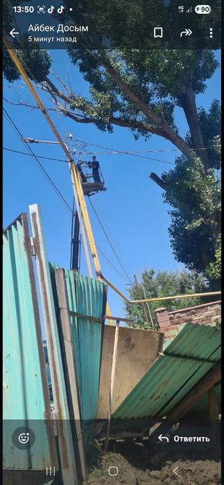 Спил деревьев не дорого Алматы