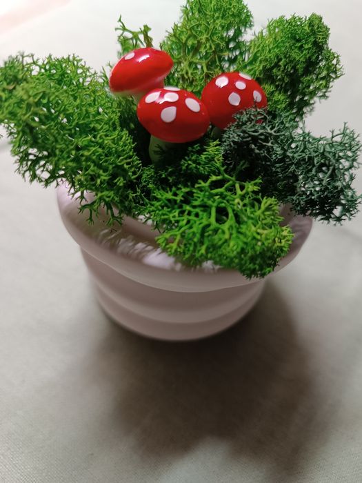 Скандинавски мъх