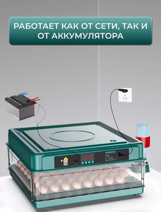 Inkubator 15 talik