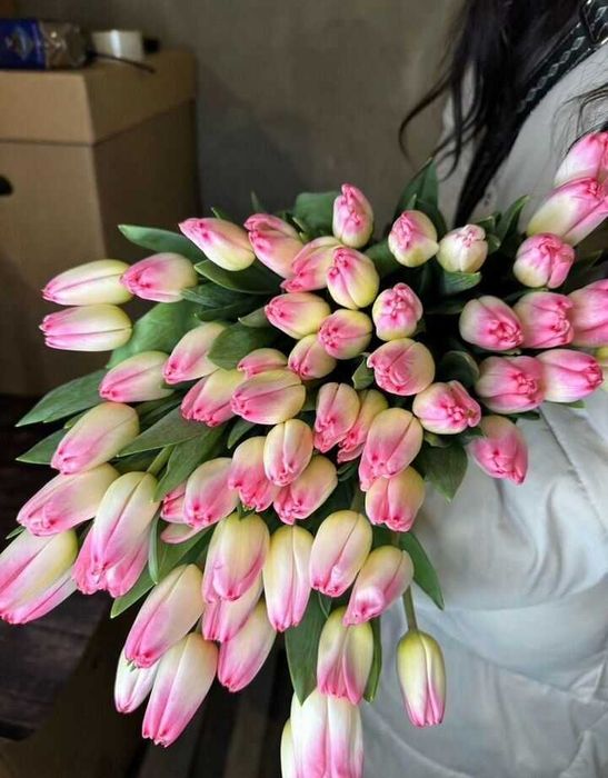 Тюльпаны оптом Астана к 8 марта 2026