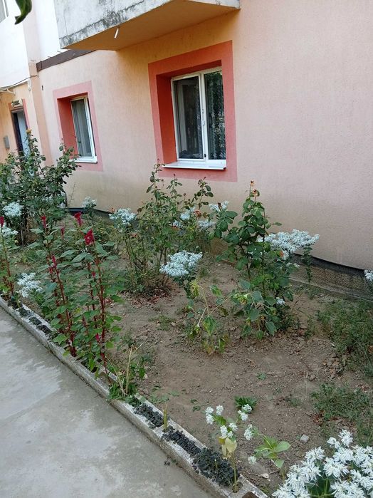 Apartament dinias