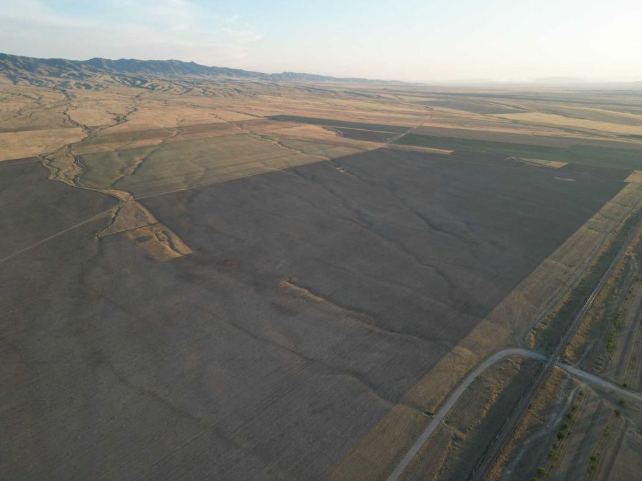 Видеосъёмка фото дрон свадьба реклама