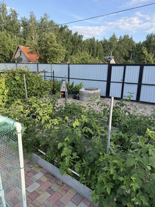 Продам дачу в СТ Веснянка