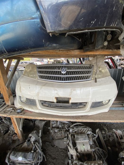 Ноускаты(мини-морды) Альфард