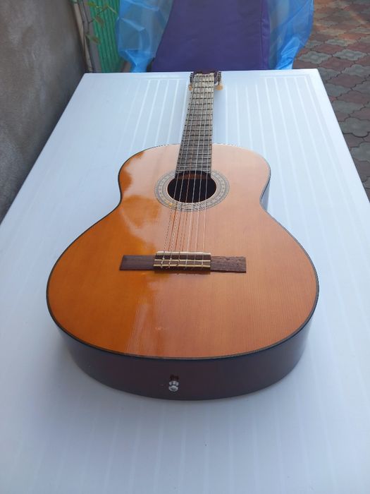Chitara Takamine G-116