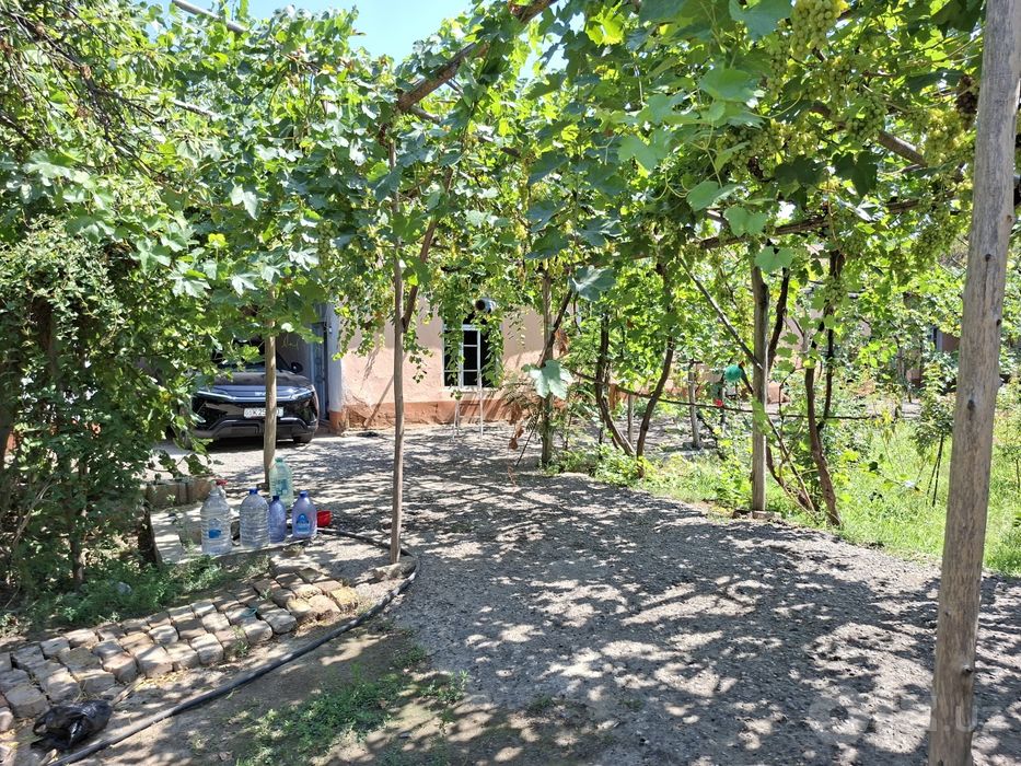 Andijon / Hovli sotiladi