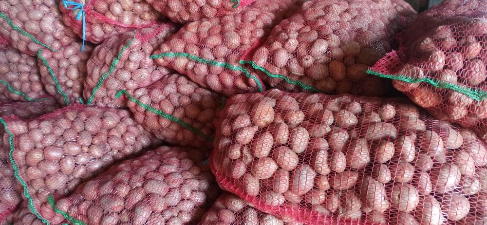 Cartofi pentru animale ,0,60