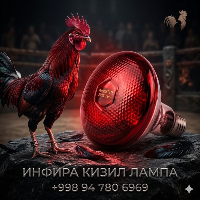 Инфракрасная лампа 100,150,200,250ватт  
Кулланиши: Товукхоналар