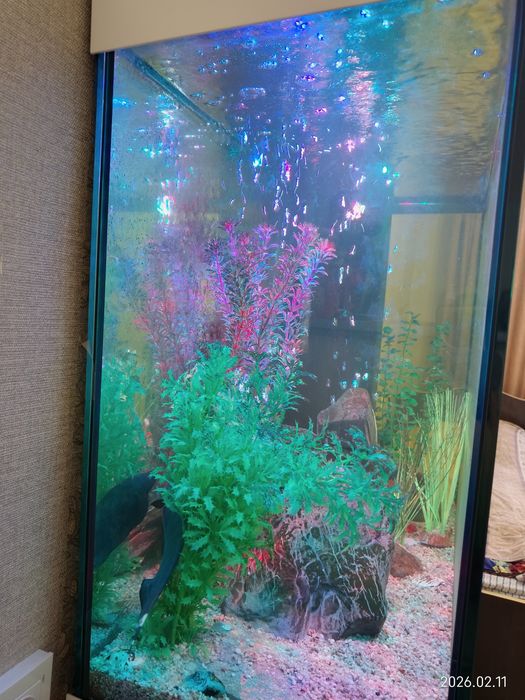 Аквариум Cleair aquatics