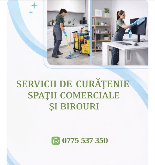 Curatenie la domiciliu