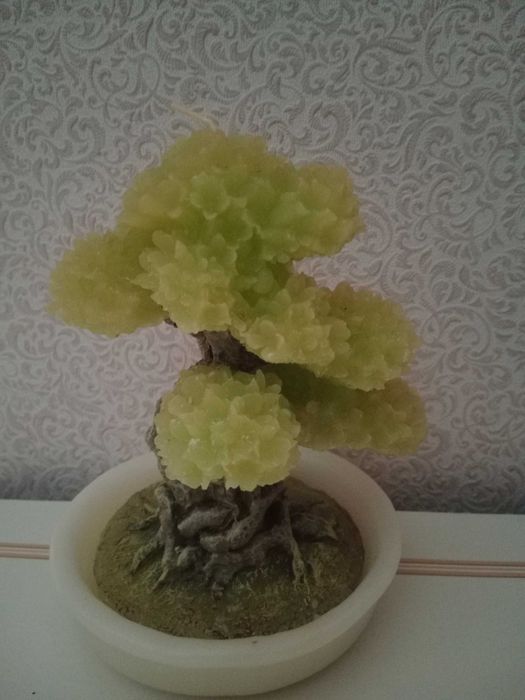 Свеча-бонсай продам