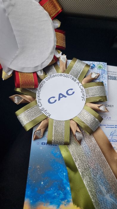 ротвейлер 4 года,девочка.