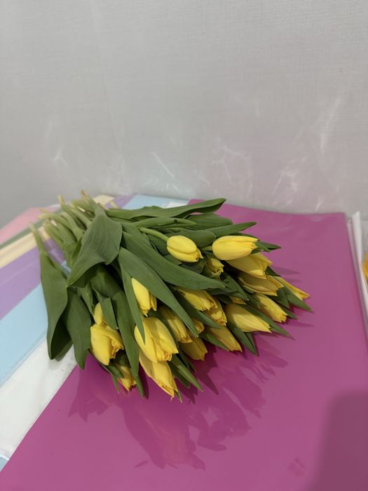 продам тюльпаны 850тг