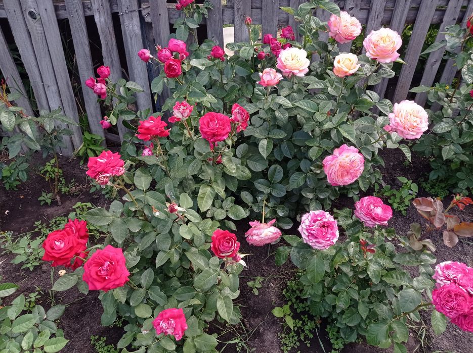 Дом в городе Тобыл