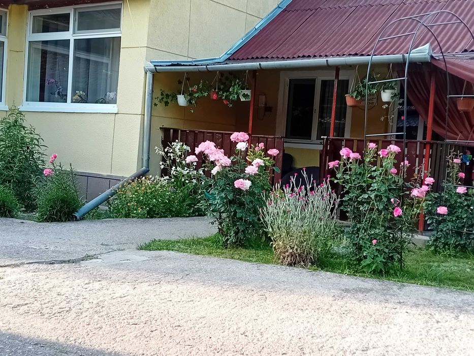 Casa de vanzare in Vetel