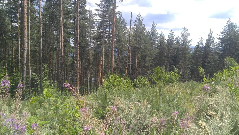 Земеделска земя до язовир, 4 дка.