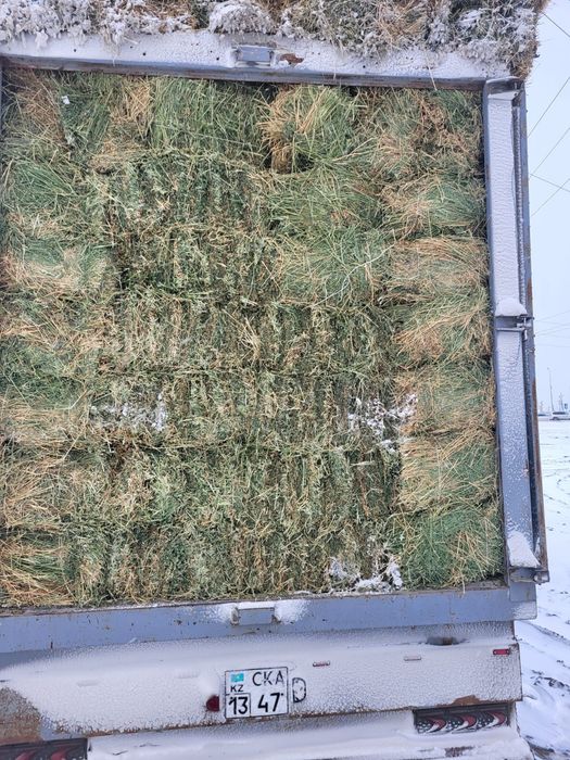 Жоңышқа түк сатылады