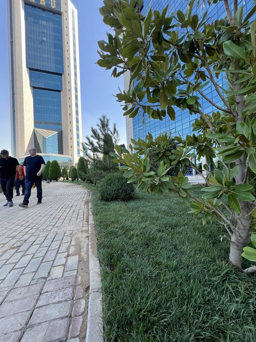 Gazo’n O’ptim cheklanmagan miqdorda birinchi qol