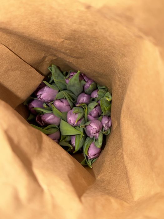 Тюльпаны букеты 8 марта