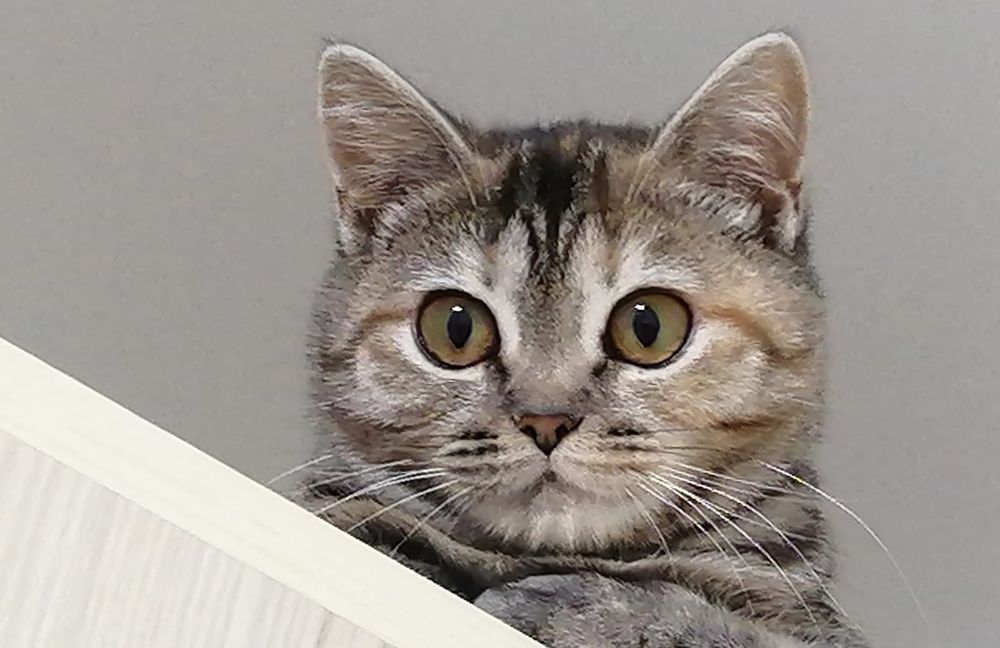 Ася -загадка ищет своего человека