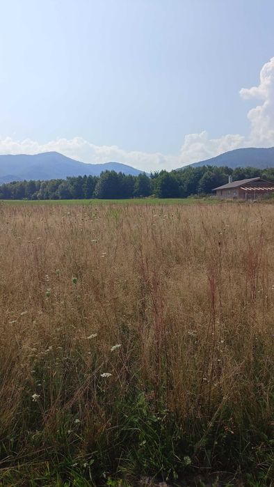 Teren Valea Sebeșului ,Hărseni ,Făgăraș .