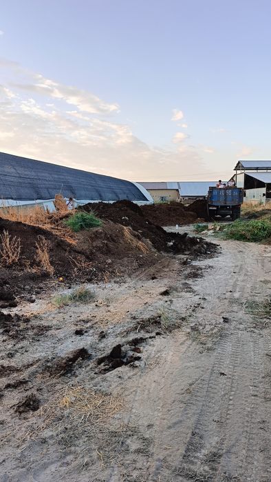 Пори гунг нури куй мол