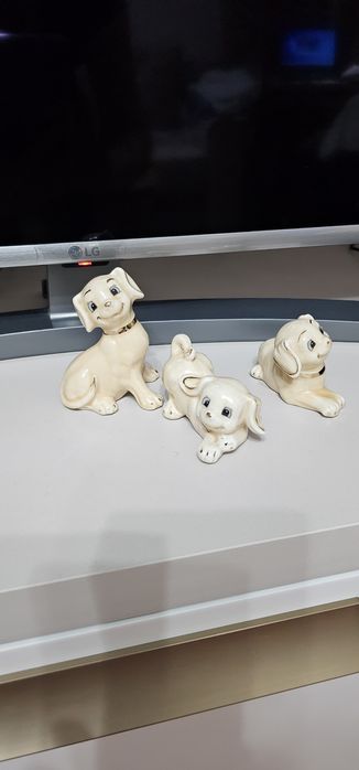 Сувенир для любителей