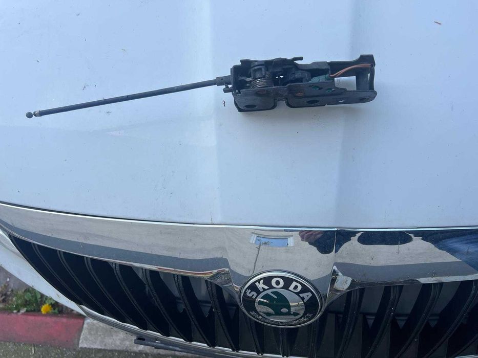 Broasca capota Skoda Octavia 2 FL