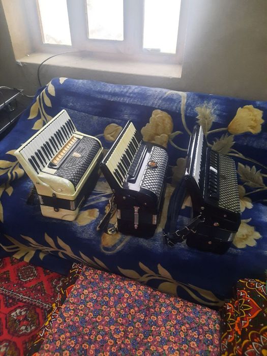 Аккордеоны разные