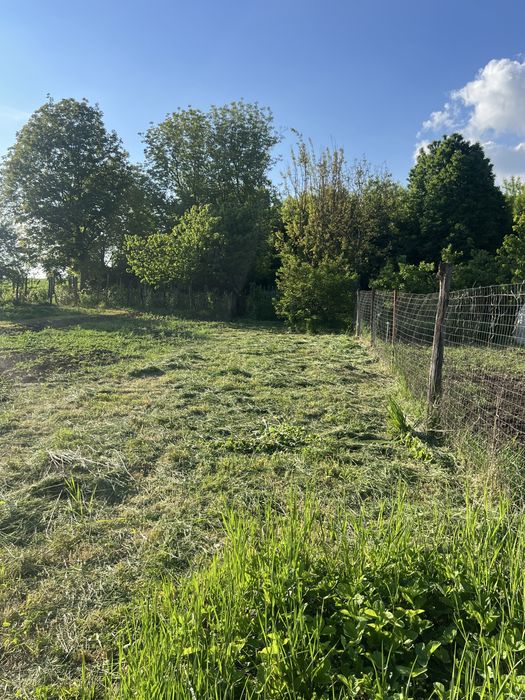 Casa Traian, acces direct din drumul Bacau-Vaslui