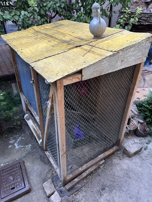 Клетка для куры