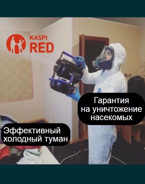 Обработка против тараканов клопов доугих насекомых kaspi red