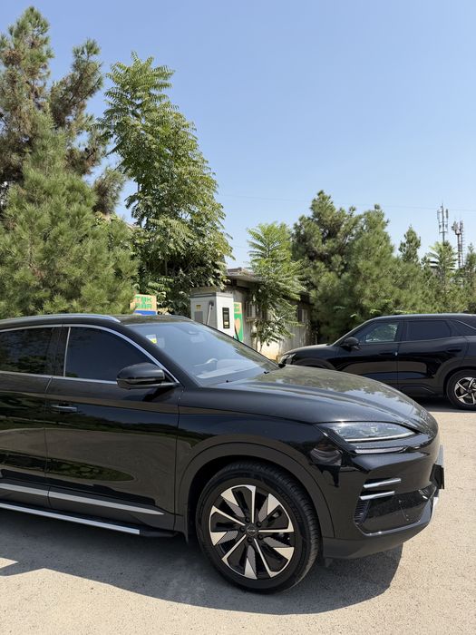 Byd champion res 605