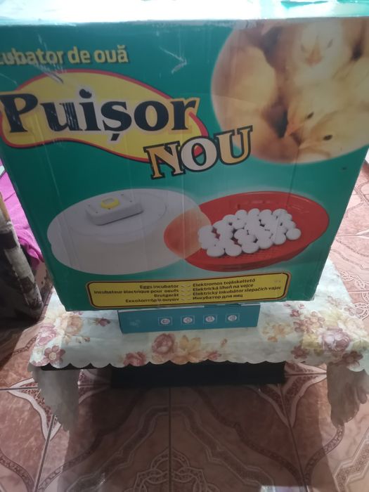 Incubator 70 de ouo