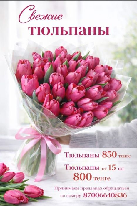 Тюльпаны на 8 марта!