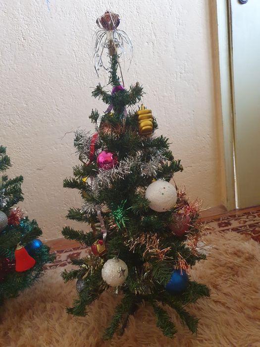 Коколедна диодрама- свети и свири и 2 елхи