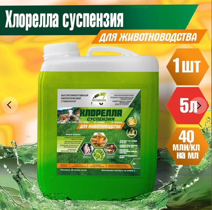 Хлорелла в животноводстве