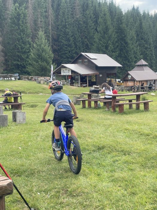 Vand bicicleta unisex copii 6-9 ani Specialized Riprock 20