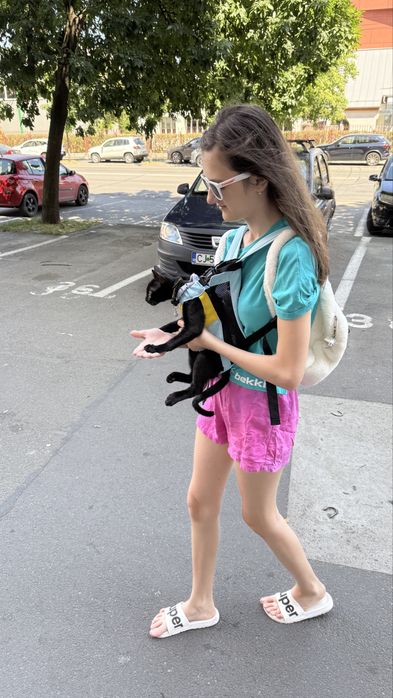 Marsupiu, ham transport  pentru pisica / catei talie foarte mica