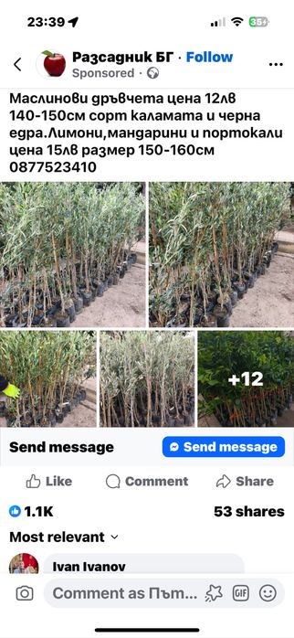 Пътна Помощ Пазарджик