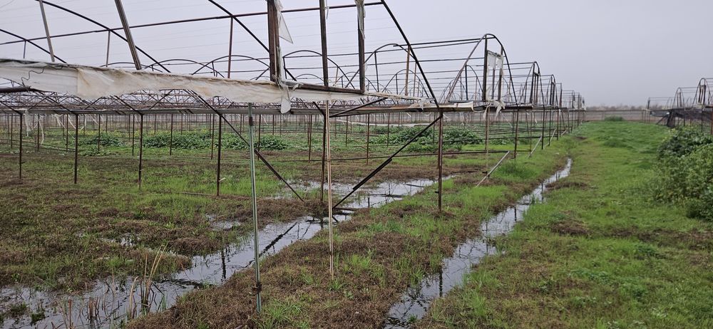 теплица 3 гектар жой ижарага берилади