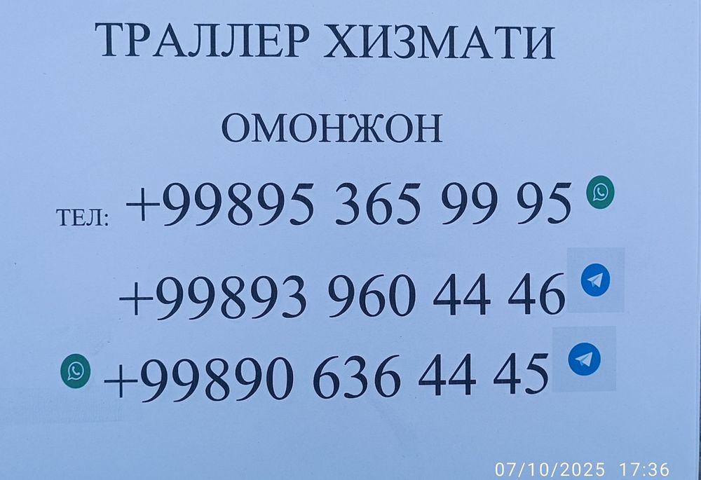 TRALLER XIZMATI. Ishonchli va sifatli. Xalqaro va Oʻzbekiston boʻylab
