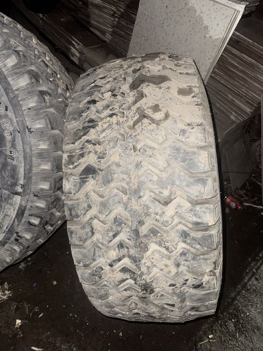 Птс-12 шины продам
