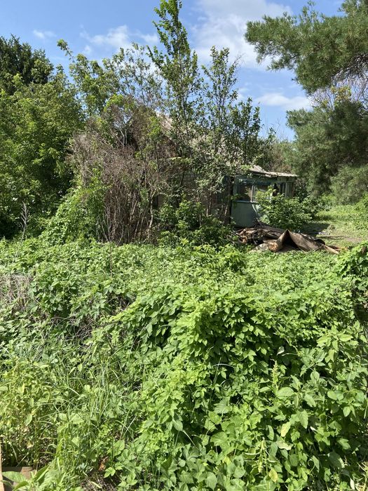 Дача казинсике меловые горки