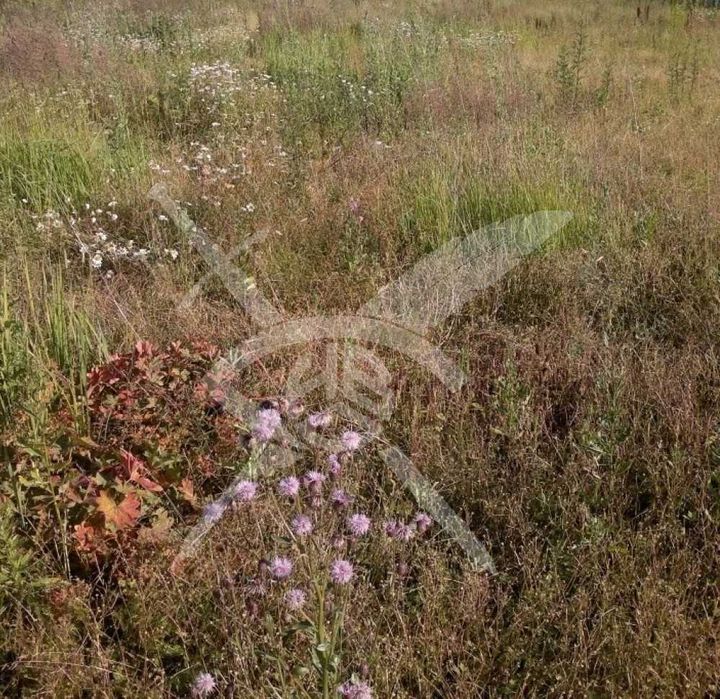 Парцел Цалапица 72001